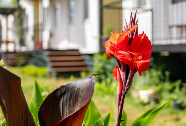 Gülsüm Hanım Evleri - Görsel 16