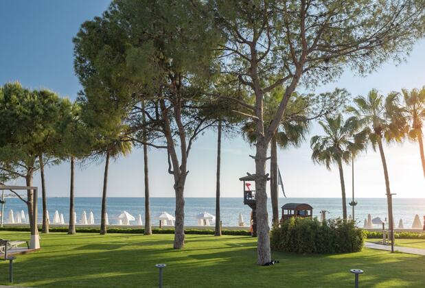 Acanthus & Cennet Barut Collection - Görsel 20