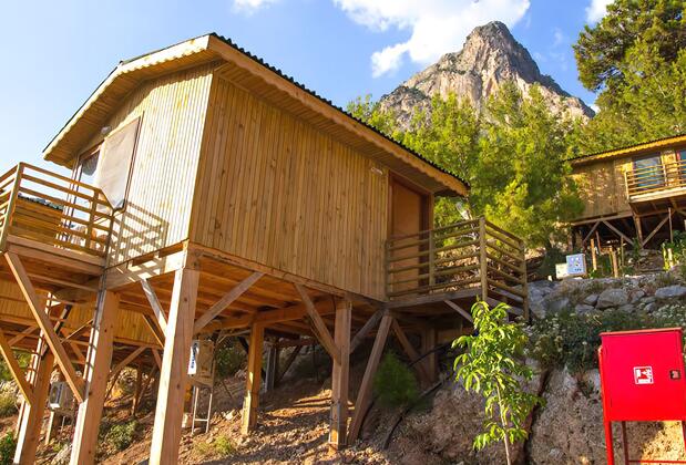 Tree Houses Pansiyon - Görsel 15