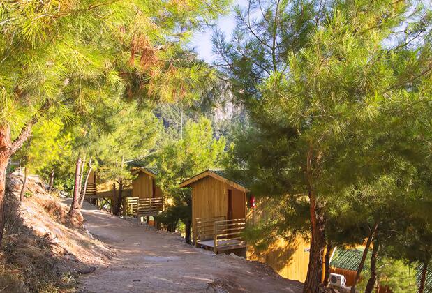 Tree Houses Pansiyon - Görsel 16