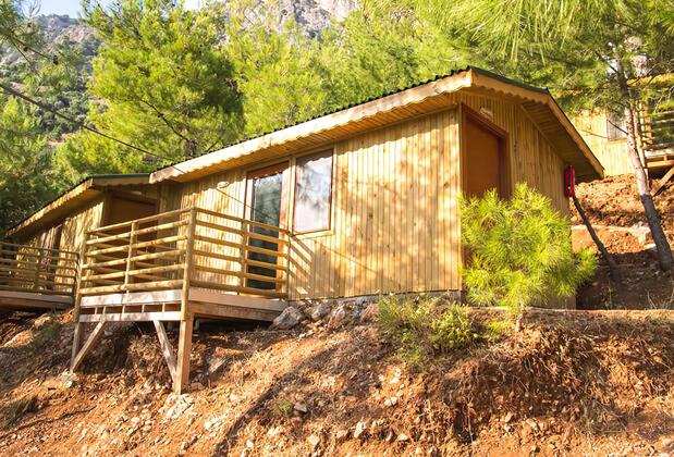 Tree Houses Pansiyon - Görsel 18