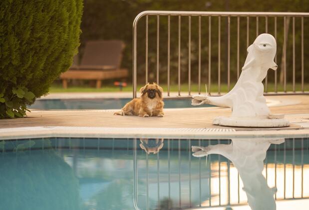 Golden Moon Hotel - Görsel 16