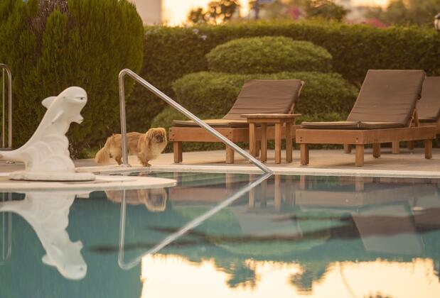 Golden Moon Hotel - Görsel 17