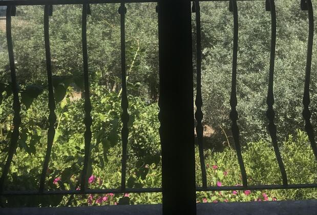 Villa No 5 - Görsel 7