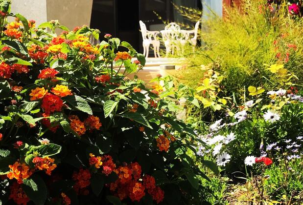 Villa No 5 - Görsel 14