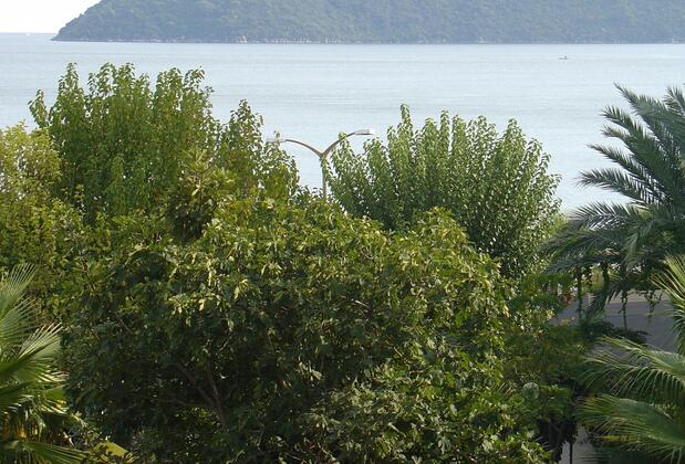 Amos Hotel - Görsel 16