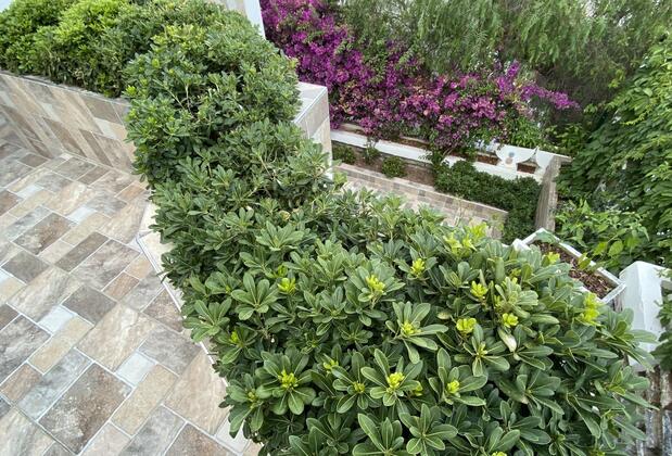 The Poyz Hotel Bodrum - Görsel 7