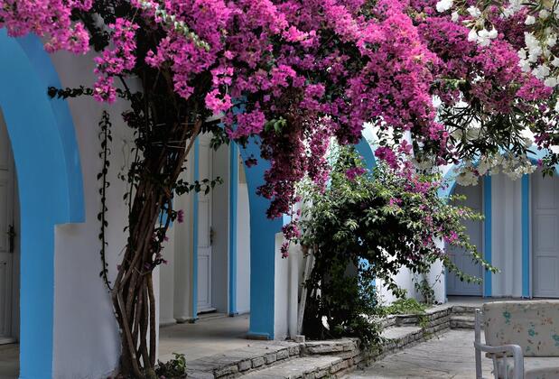 Palma Otel Gümbet - Görsel 9