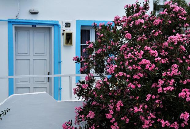 Palma Otel Gümbet - Görsel 12