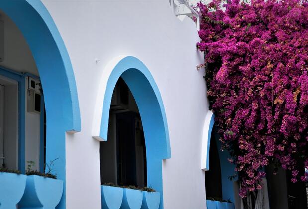 Palma Otel Gümbet - Görsel 4