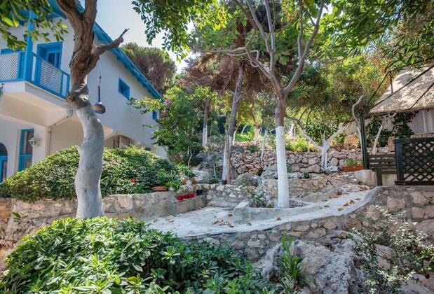 Arpia Hotel - Görsel 3