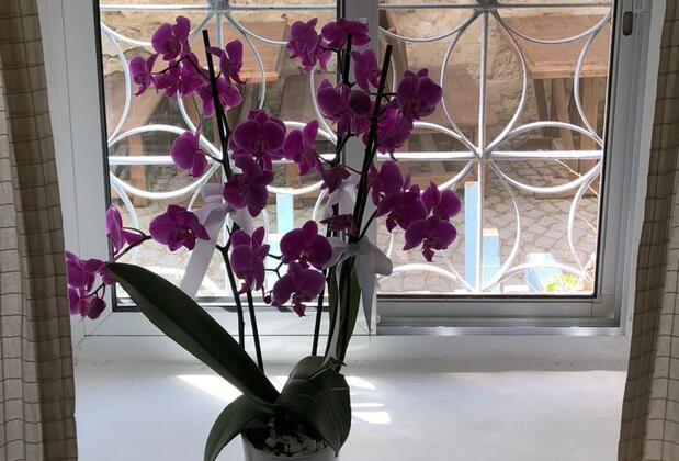 Alaçatı Frida Butik Hotel - Görsel 27