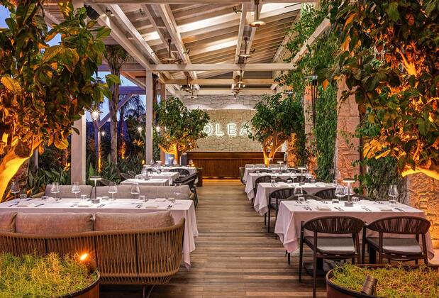 Biblos Beach Resort Alaçatı - Görsel 22