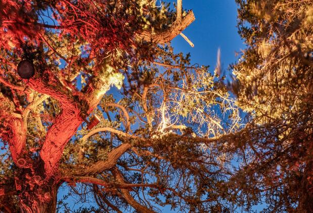 Biblos Beach Resort Alaçatı - Görsel 35