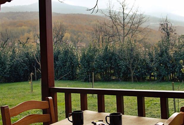 Cevizdibi Hotel - Görsel 22