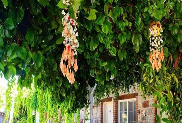 Sarmaşık Hotel Selimiye - Görsel 3