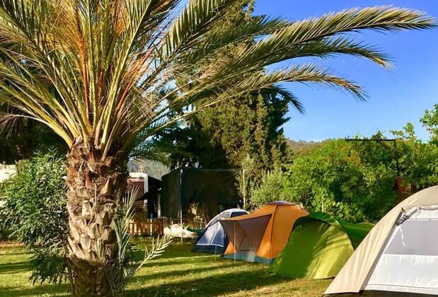 Angora Restaurant Motel Camping - Görsel 6