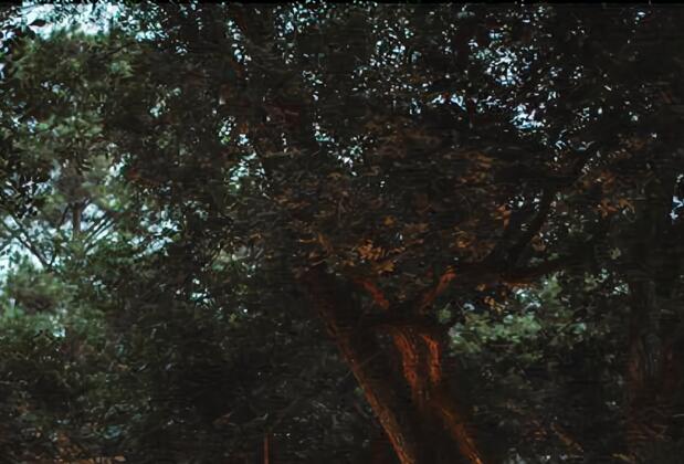 Kırkahvesi Garden - Görsel 13