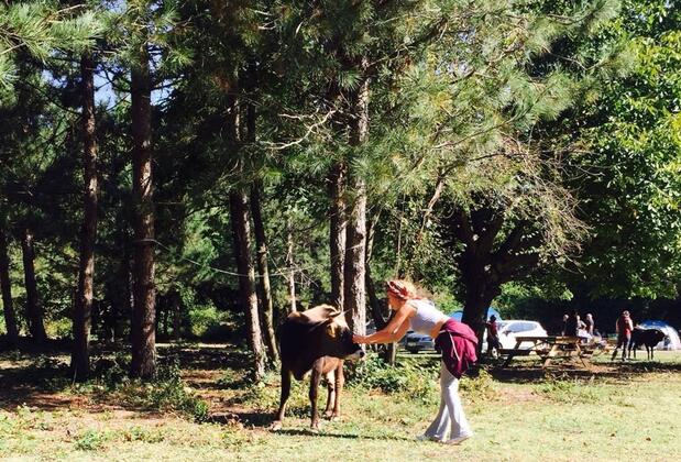 Kırkahvesi Garden - Görsel 14