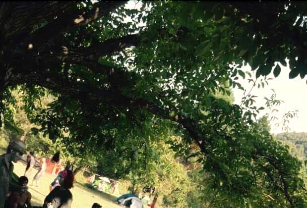 Kırkahvesi Garden - Görsel 15