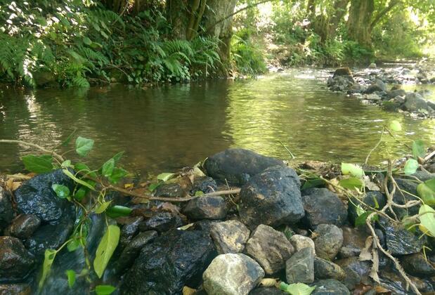 Kırkahvesi Garden - Görsel 16