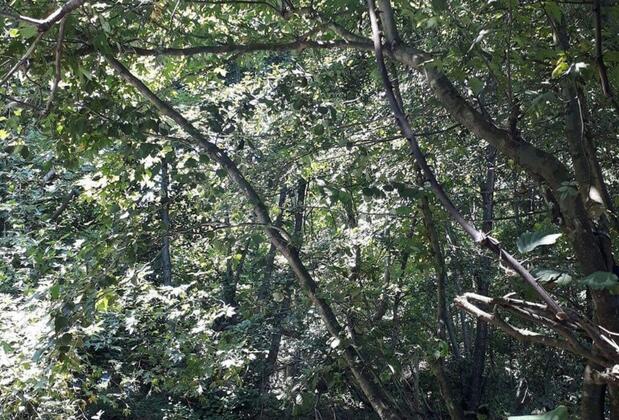 Kırkahvesi Garden - Görsel 19