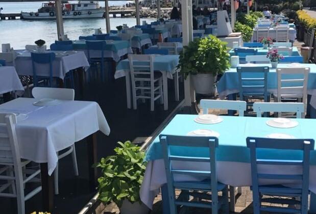 Butik Akvaryum - Görsel 3