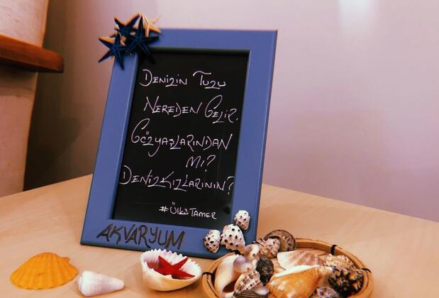 Butik Akvaryum - Görsel 11