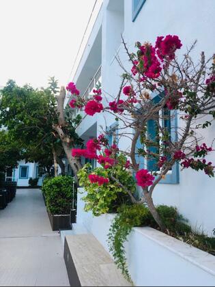 Erta Soyak Beach Hotel - Görsel 5