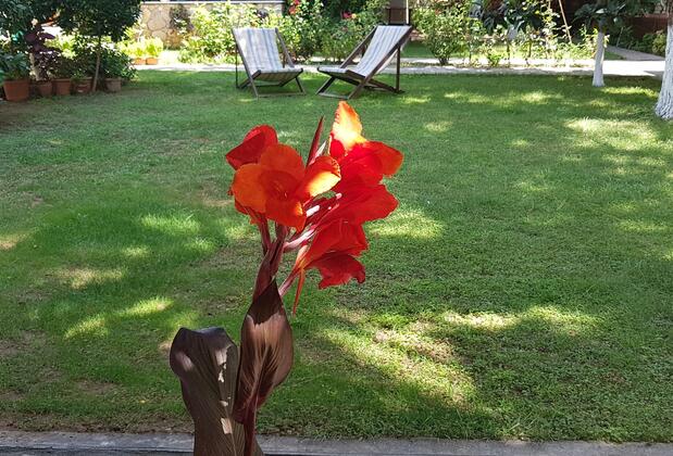 İlkiz Beach Hotel - Görsel 14