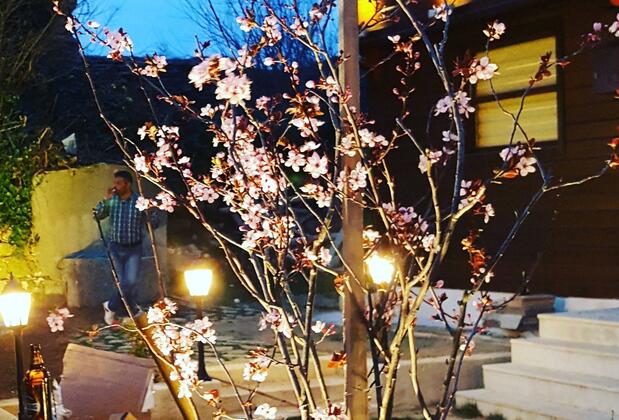 Atakale Butik Otel - Görsel 23