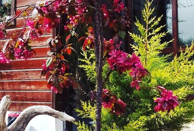 Atakale Butik Otel - Görsel 41