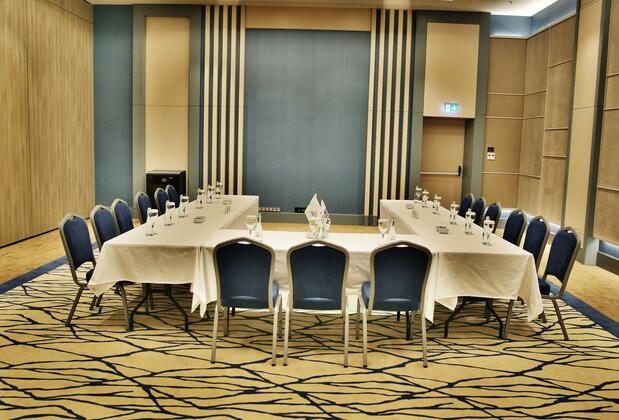 The Ankara Hotel - Görsel 17