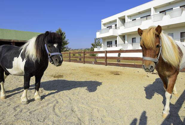 Hotel Garden Resort - Görsel 21