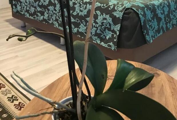 Grand Krone Hotel - Görsel 12