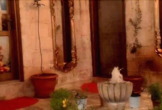 Gül Bedesten Konağı - Görsel 3