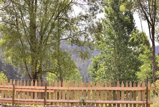 Abant Vadi - Görsel 6