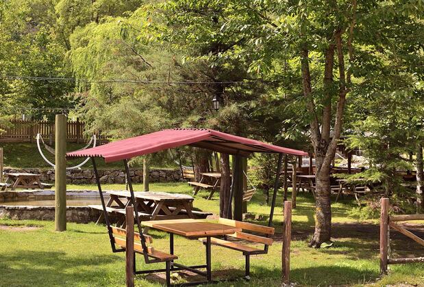 Abant Vadi - Görsel 5