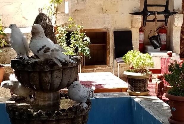 Şark Çırağan Konak Butik Otel - Görsel 10