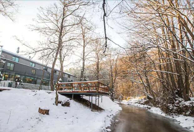 Abant Lotus Otel - Görsel 3