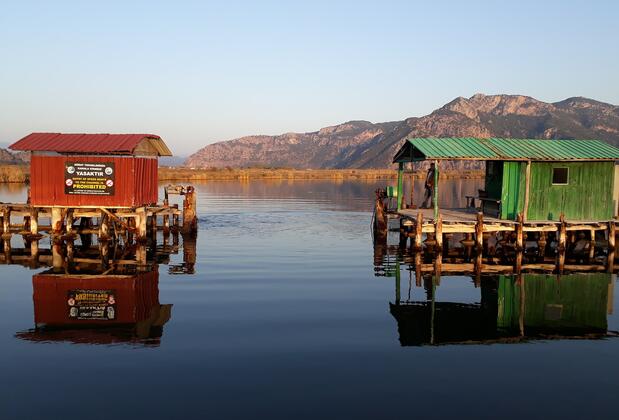 Dolphin Apart Hotel - Görsel 11