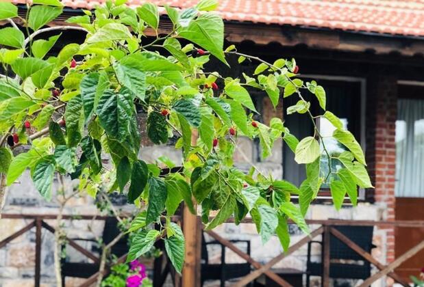 Salkım Sahil Evi - Görsel 21