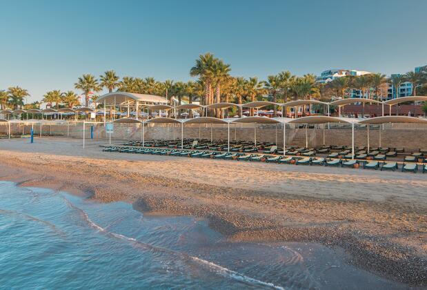 Paloma Sencia - Görsel 19