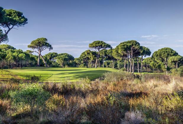 Paloma Sencia - Görsel 13