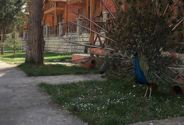 Agara Pansiyon - Görsel 10