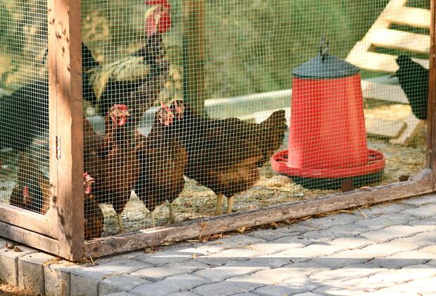 1774 Kazdağı Termal Butik Otel - Görsel 30