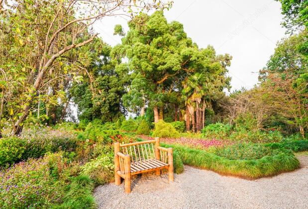 Arhavi Pınar Kır Evi - Görsel 34