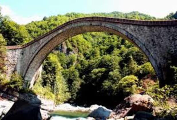 Arhavi Pınar Kır Evi - Görsel 33