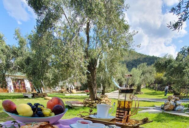 Yiva Otel Kazdağları - Görsel 6