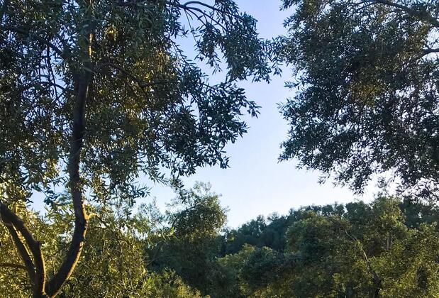 Yiva Otel Kazdağları - Görsel 5